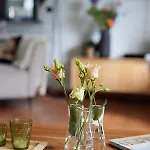 Vakantiehuis Meinnest31