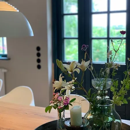 Meinnest31 סנט פטר-אורדינג