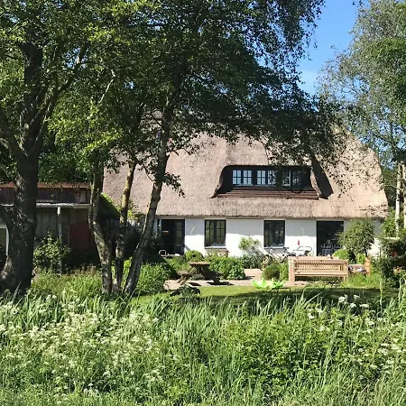 Meinnest31 סנט פטר-אורדינג