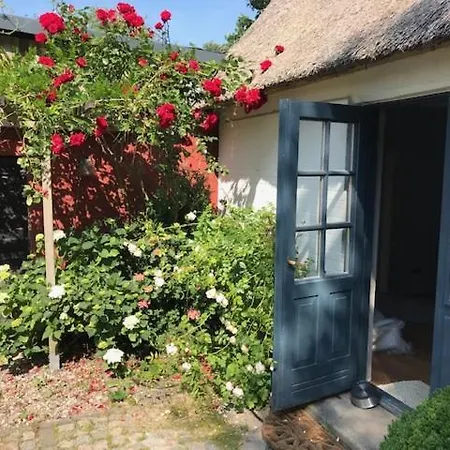 Meinnest31 בית נופש