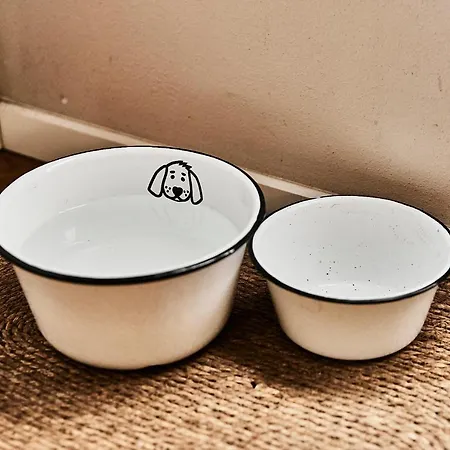Meinnest31 Böhl