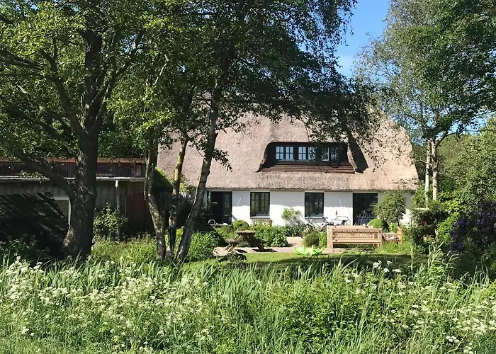 Meinnest31 Böhl