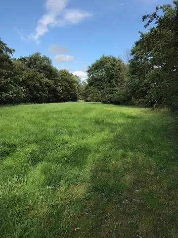 Meinnest31 ザンクト・ペーター・オルディング